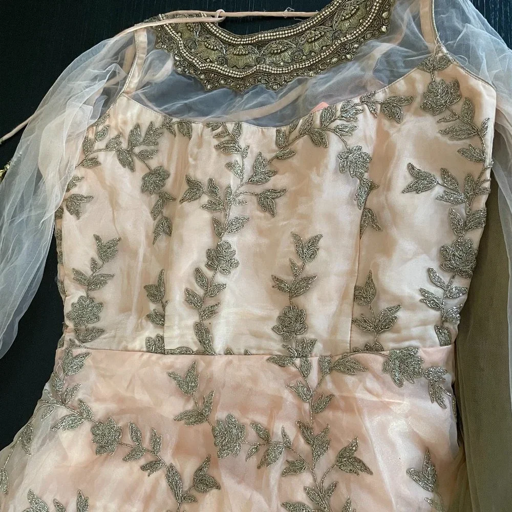 Indian Gown - Picture 1 of 5